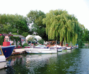 Photo of boatyard from the river